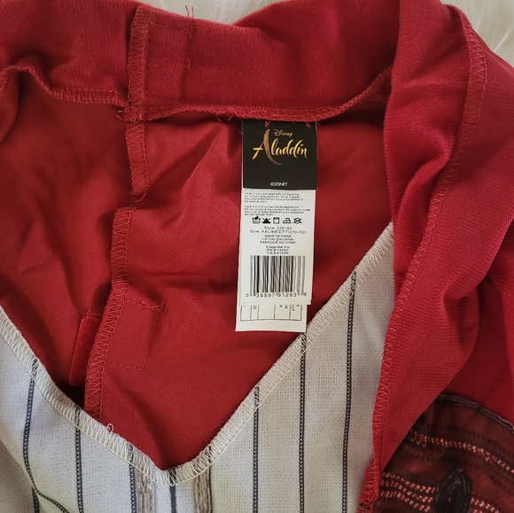 Disney Aladdin Costume ๐๐๐งโโ๏ธ - Picture 16 of 16